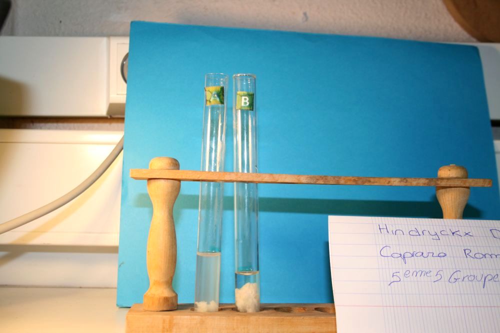 gal/LES_CINQUIEMES/ACTIVITE DIGESTION IN VITRO/Groupe_01/Groupe01_T_00h00min/Groupe01_temps00H00min_6.jpg